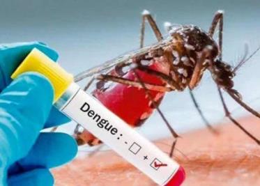 Dengue alcanza punto máximo en Yucatán