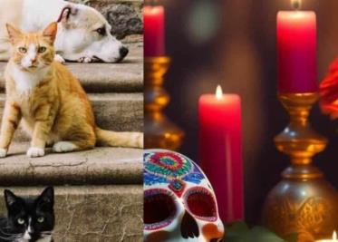 Día de Muertos: ¿cuándo llegan las almas de las mascotas fallecidas a visitarnos?