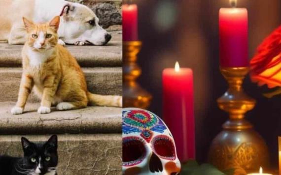 Día de Muertos: ¿cuándo llegan las almas de las mascotas fallecidas a visitarnos?