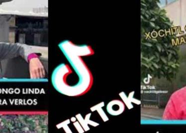 Firman TikTok y Tribunal Electoral acuerdo contra fakes news y violencia política de género