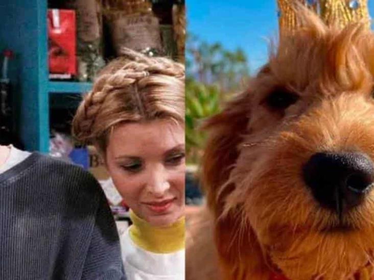 Lisa Kudrow adoptaría al perrito de Matthew Perry Lisa Kudrow adoptaría al perrito de Matthew Perry