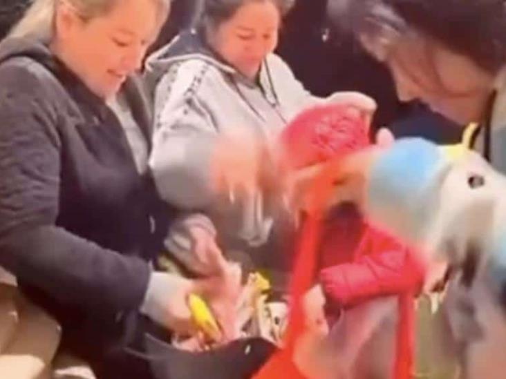 VIDEO: ¿Por qué son así? Los captan llevándose todos los dulces de Halloween VIDEO: ¿Por qué son así? Los captan llevándose todos los dulces de Halloween