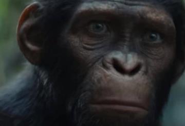 Lanzan tráiler de ´Kingdom of the Planet Apes, nueva película ´El Planeta de los Simios´