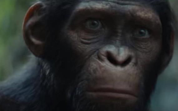 Lanzan tráiler de ´Kingdom of the Planet Apes, nueva película ´El Planeta de los Simios´