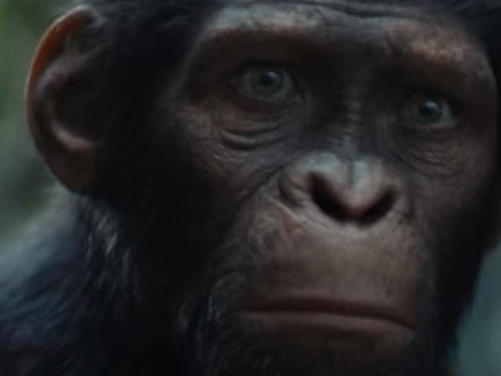 Lanzan tráiler de ´Kingdom of the Planet Apes, nueva película ´El Planeta de los Simios´ Lanzan tráiler de ´Kingdom of the Planet Apes, nueva película ´El Planeta de los Simios´