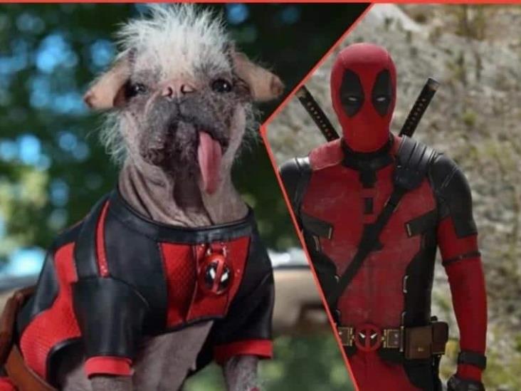 Ryan Reynolds confirma que Deadpool 3 se estrenará en 2024, además anuncia nuevo personaje Ryan Reynolds confirma que Deadpool 3 se estrenará en 2024, además anuncia nuevo personaje