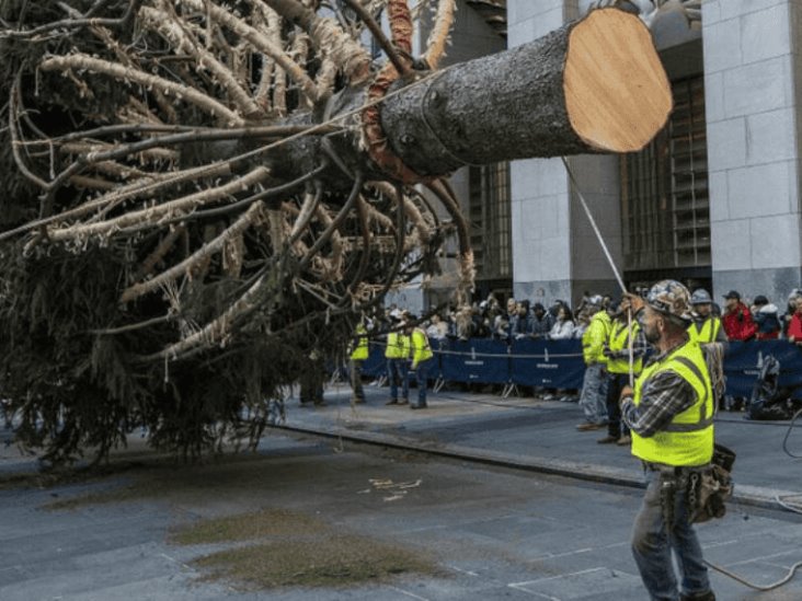 Gran árbol de Navidad del Rockefeller Center llega a Manhattan Gran árbol de Navidad del Rockefeller Center llega a Manhattan