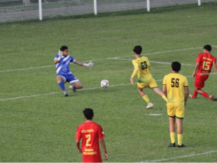 Felinos 48 gana 2-0 a Deportiva Venados Felinos 48 gana 2-0 a Deportiva Venados