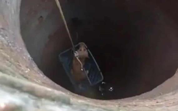 Guardia Civil española rescata a perro que cayó a pozo de diez metros de profundo