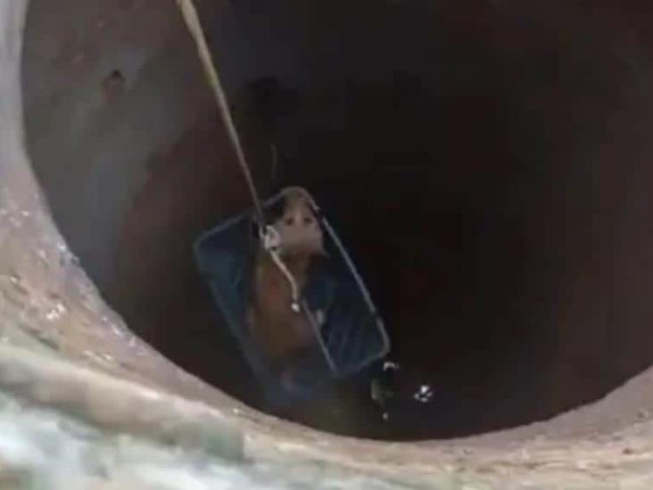 Guardia Civil española rescata a perro que cayó a pozo de diez metros de profundo Guardia Civil española rescata a perro que cayó a pozo de diez metros de profundo