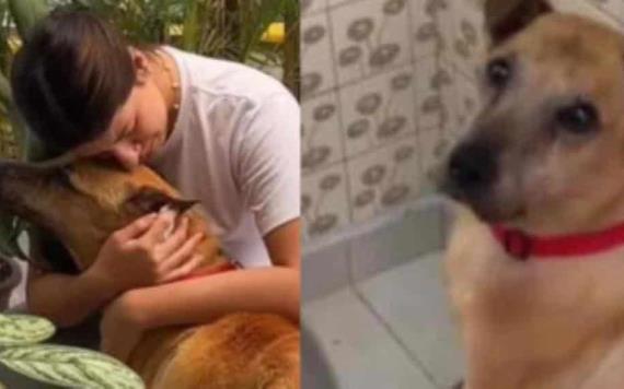 Joven comparte cómo se despidió de su perrito antes de ´dormirlo´; "así fue mi último día en la Tierra"