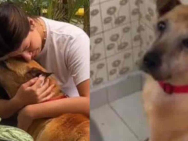 Joven comparte cómo se despidió de su perrito antes de ´dormirlo´; "así fue mi último día en la Tierra" Joven comparte cómo se despidió de su perrito antes de ´dormirlo´; "así fue mi último día en la Tierra"