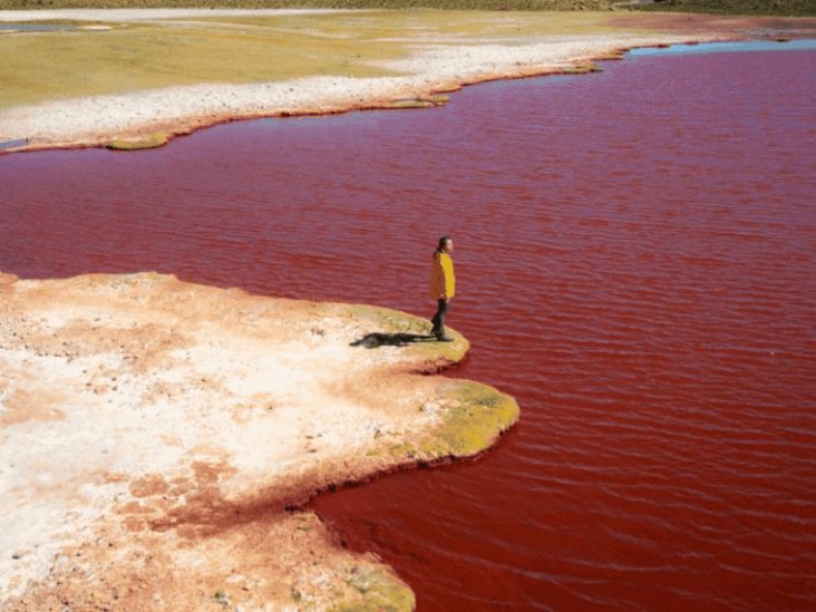 El río Nilo se pinta de rojo como lo narró la Biblia El río Nilo se pinta de rojo como lo narró la Biblia