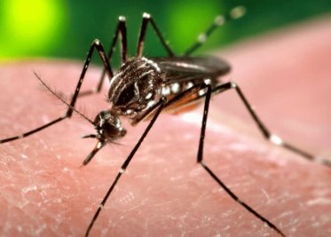 confirman más de 2 mil casos de dengue en Tabasco