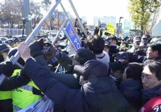 Granjas caninas se oponen a prohibir el consumo de la carne de perro en Corea del Sur