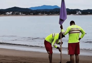 Establecen bandera morada en playas de Jalisco, por presunto ataque de tiburón