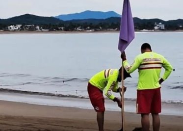 Establecen bandera morada en playas de Jalisco, por presunto ataque de tiburón