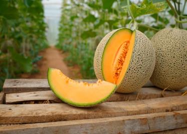 Lanzan alerta sanitaria en EU y Canadá por melones mexicanos