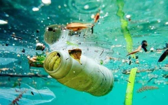 Inventan una IA para identificar plásticos en mares y océanos