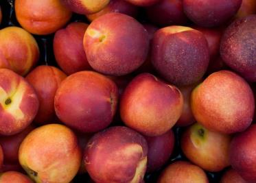 ¡Alerta! ¿Tienes estas frutas en casa? Podrían estar contaminadas