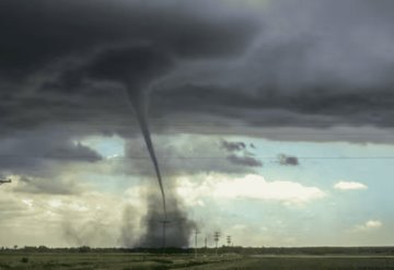 Bebé sobrevive a un tornado, aparece vivo en un árbol