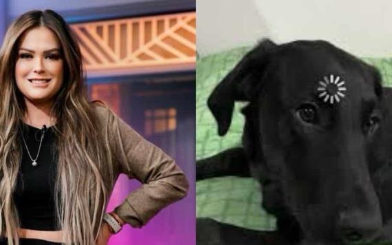Mariana Echeverría compara adoptar un niño con adoptar un cachorro; No sabes de  qué tipo de trauma va a salir.
