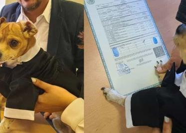 Perrito firma como testigo en boda civil de su dueño
