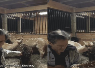 VIDEO: La alpaca de Kevin Bacon y su respuesta a My Sharona
