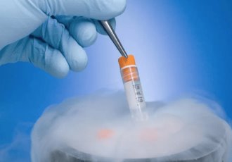Determina que embriones congelados son niños ante la ley