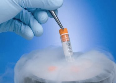 Determina que embriones congelados son niños ante la ley