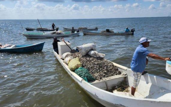 PEMEX fortalece las actividades del sector pesquero organizado de escama marina y ostras de Cárdenas