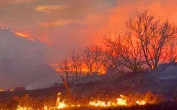 El mayor incendio forestal de la historia de Texas podría propagarse con más velocidad