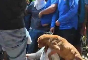 Perro de secuestradora de Camila la defendió en linchamiento y resultó herido