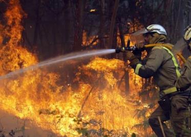 126 incendios forestales han devastado México los últimos días