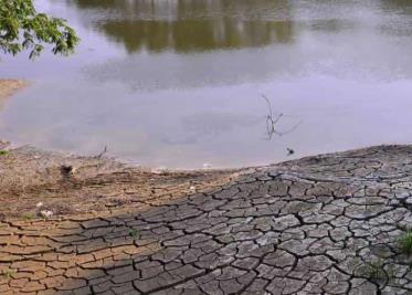 Severa sequía en cinco municipios