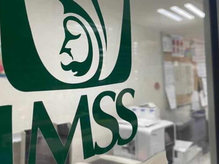 Estos Son Los Puestos Afiliados Al IMSS