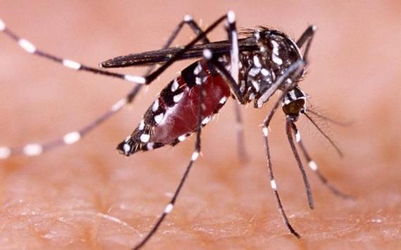Alarmante Escalada de Contagios de Dengue
