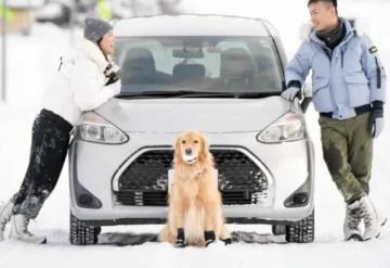 Pareja gasta más de medio millón de pesos en llevar a su perrito de vacaciones a Japón: valió cada centavo