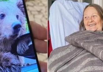 Turista casi pierde la mano tras tomarse selfie con un oso; "Pensé que quería ser amigo"