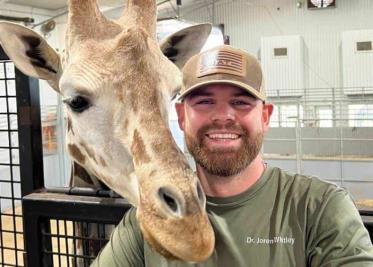 Quiropráctico ajusta el cuello de una jirafa y se vuelve viral