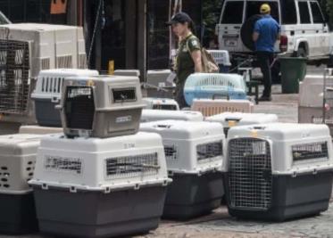 Tras el cierre de zoológicos trasladan a casi 300 animales en Costa Rica a un refugio