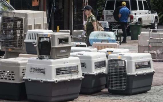 Tras el cierre de zoológicos trasladan a casi 300 animales en Costa Rica a un refugio