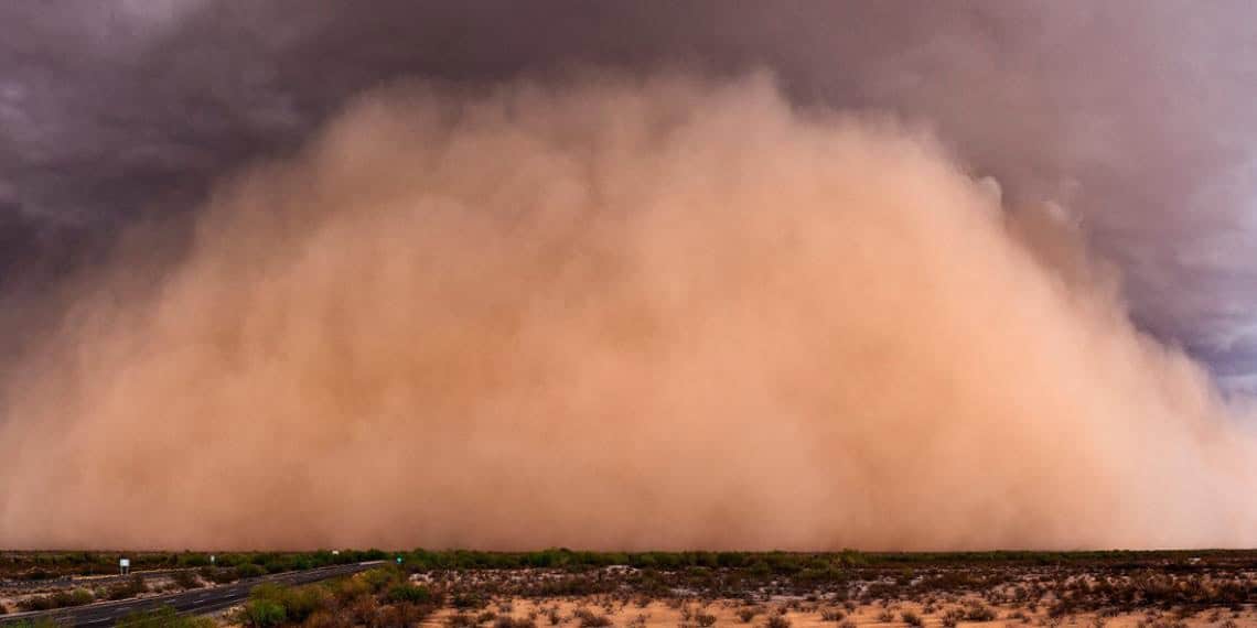 ¿Polvo del Sahara llega a México? Estos son los estados que se prevé la presencia del fenómeno