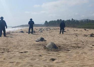 "Beryl" se fortalece a huracán; prevén que se intensifique muy rápido