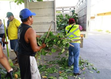 Avanza el Programa Integral de Limpieza en Gaviotas Sur Sector San José