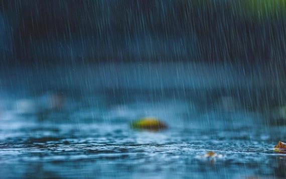 Onda tropical No. 8 originará lluvias intensas en Nayarit, Jalisco, Colima y Michoacán