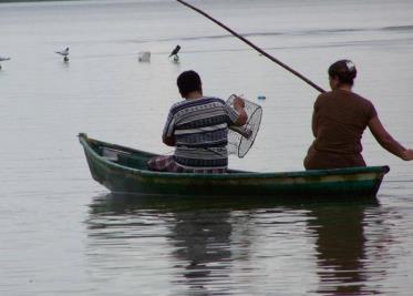 Baja la producción por sobrepesca