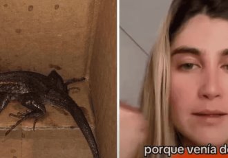 Mujer pidió una freidora de aire por Amazon y recibió una lagartija