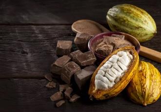 Se acerca la tercera edición de la Feria Nacional de Cacao y Chocolate de Comalcalco
