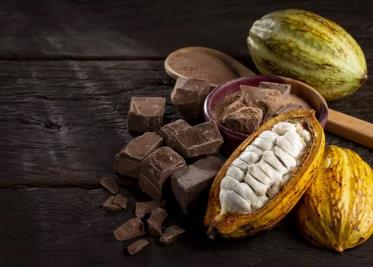 Se acerca la tercera edición de la Feria Nacional de Cacao y Chocolate de Comalcalco